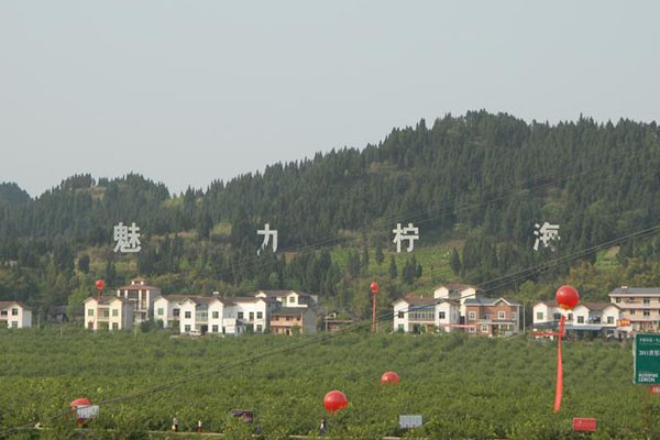 魅力檸海