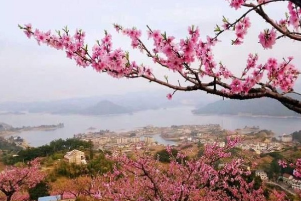2021廣州春季賞花指南 時(shí)間及地點(diǎn)