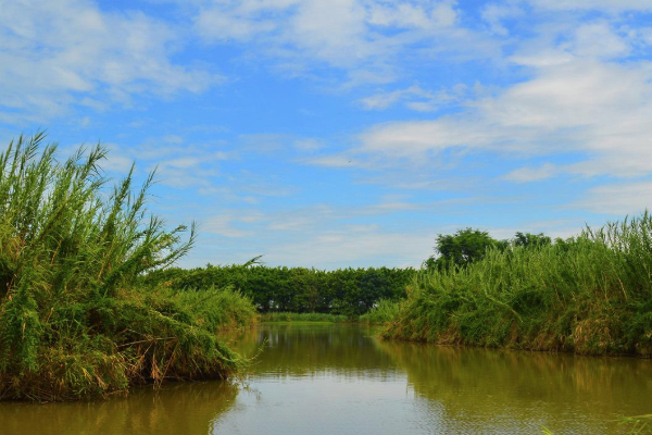 2021廣州南沙濕地公園門票多少錢 廣州南沙濕地公園門票優(yōu)惠政策