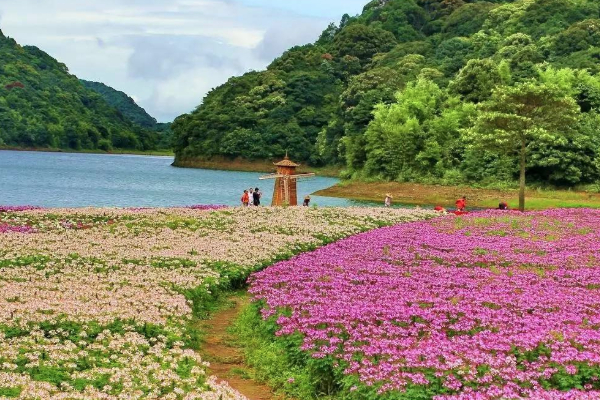 2021廣州石門國家森林公園門票價(jià)格-優(yōu)惠政策-預(yù)約指南