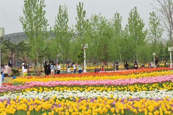 2021鄭州綠博園問花節(jié)活動(dòng)-賞花指南
