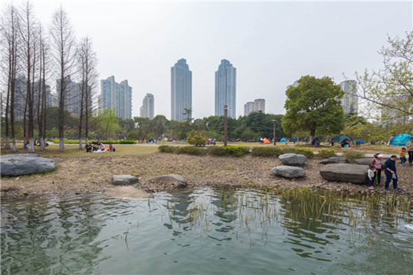 東沙湖生態(tài)公園