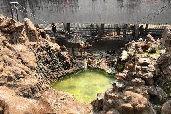 2021洛陽王城公園恢復免費開放