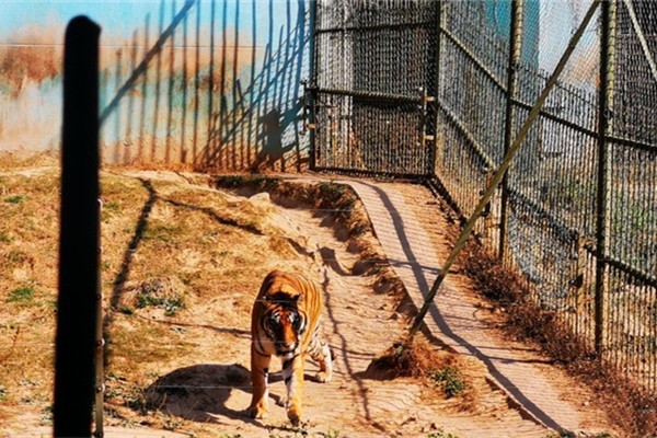 珍珠泉野生動物生態園