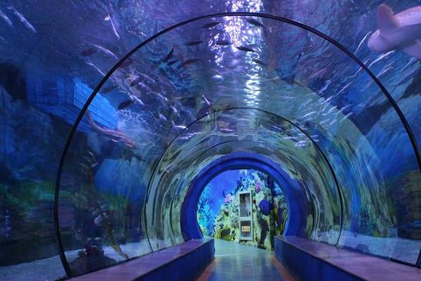 2021暑假寧波海洋世界夜市活動