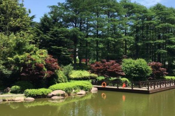 受疫情影響寧波四明山國家森林公園限流公告
