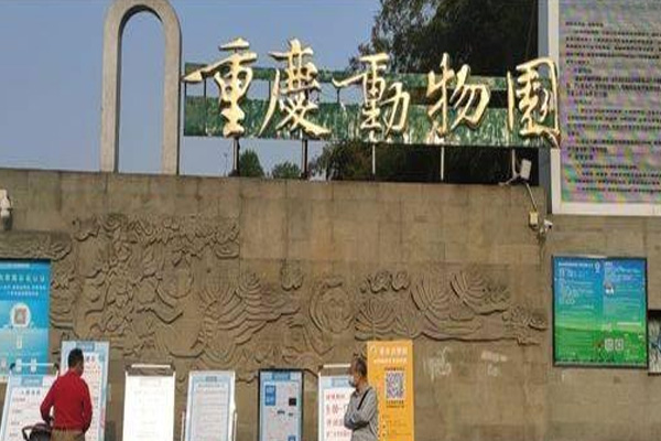 重慶動(dòng)物園游玩指南