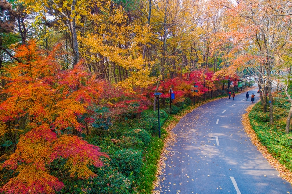長(zhǎng)沙雨花區(qū)有哪些免費(fèi)的景點(diǎn)